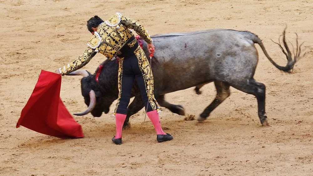 Matador en action