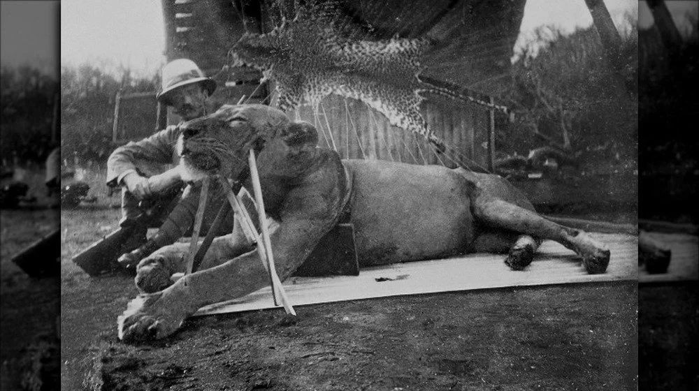 Colonel Patterson avec un lion de Tsavo