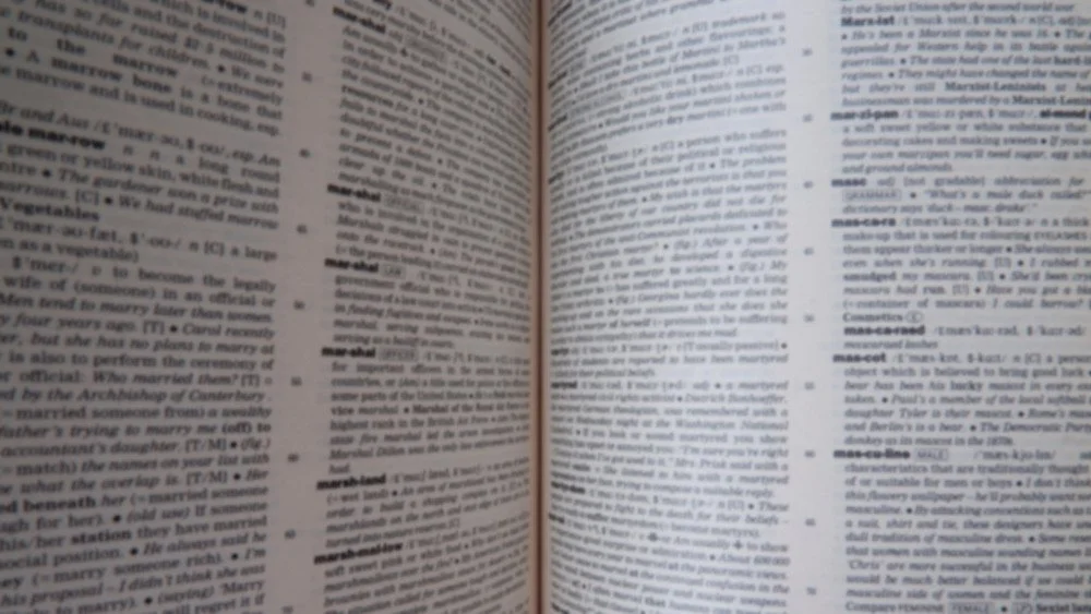 Pages du dictionnaire
