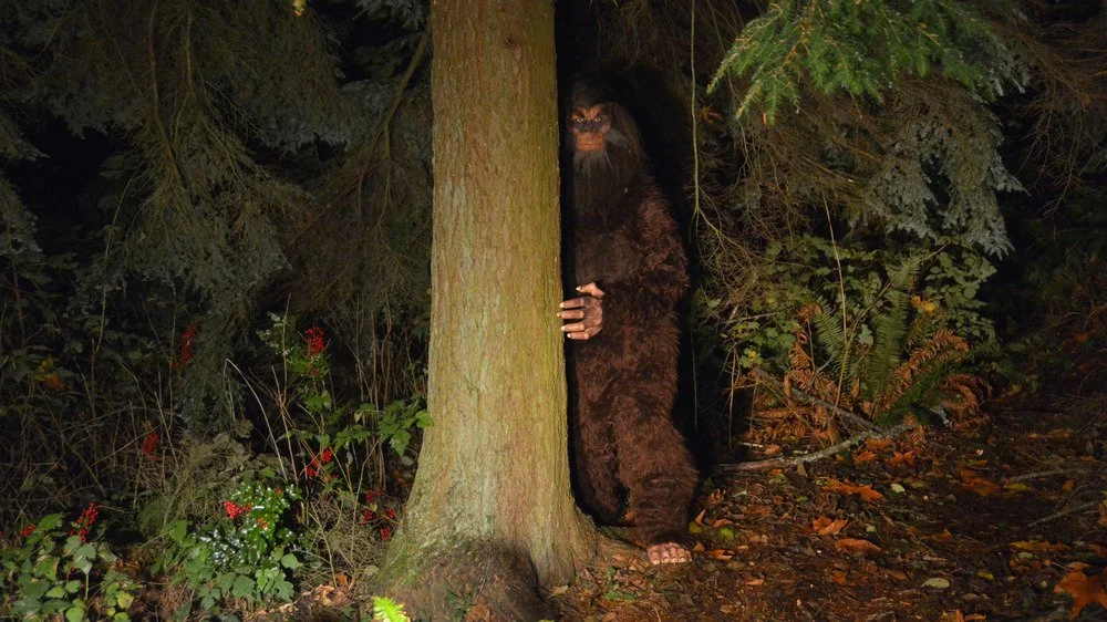 Bigfoot observant depuis les bois