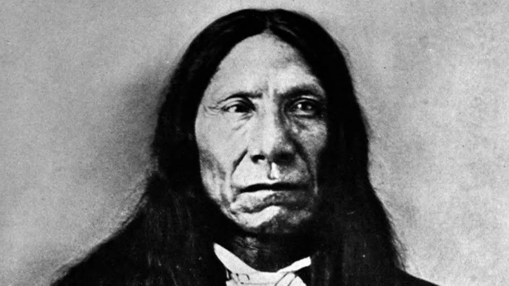 Portrait de Red Cloud, chef Lakota Oglala, 1876