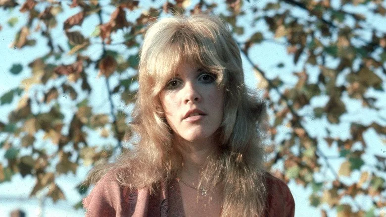 Stevie Nicks devant des feuilles lors d'une photo de presse des années 1970