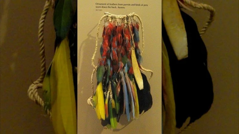 Exposition d'un ornement en plumes porté par le peuple Ayoreo