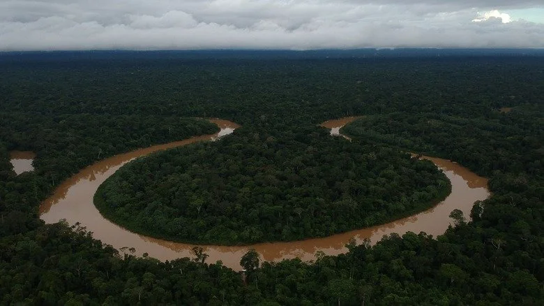 Vue aérienne d’un méandre en forme de fer à cheval du fleuve dans la Terra Indigena Vale do Javari