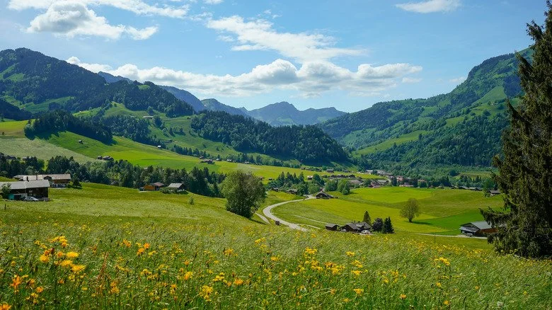 Paysage de Chateau d'Oex en Suisse avec montagnes et maisons