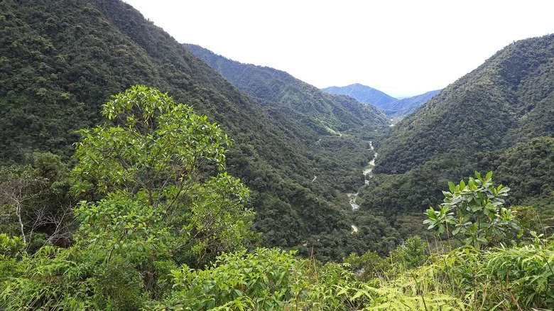 Vue aérienne d'une vallée fluviale dans le parc national de Manu