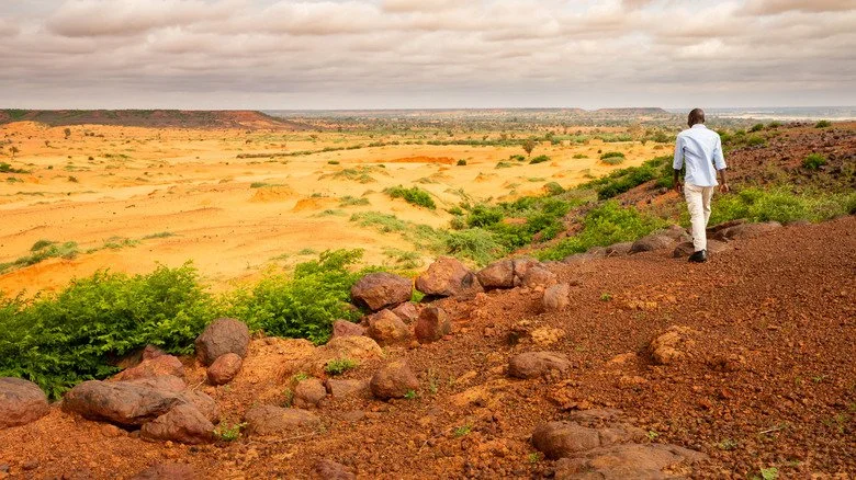 Homme marchant sur des dunes près d'une végétation verte au Niger