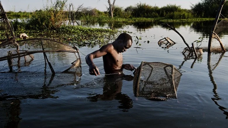 Un homme pêche dans le vestige réduit du lac Tchad