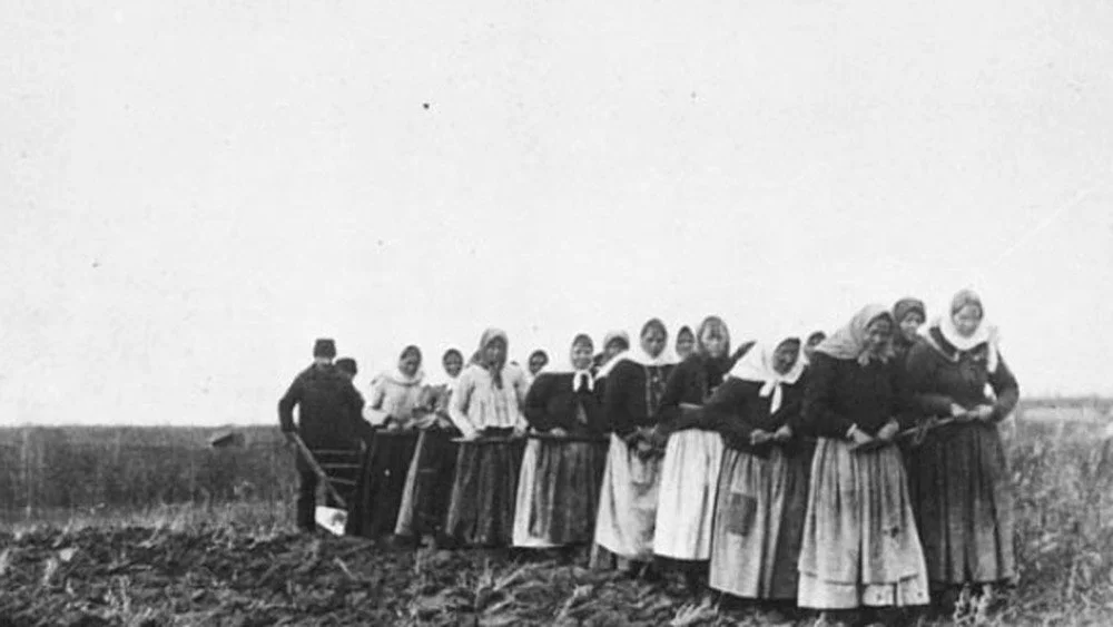 Femmes Doukhobors labourant la terre