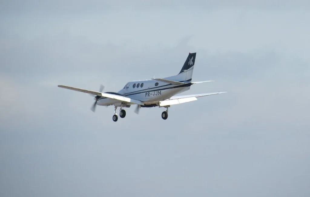 Accident Tragique : Un Avion S'Écrase en Évitant une Tortue