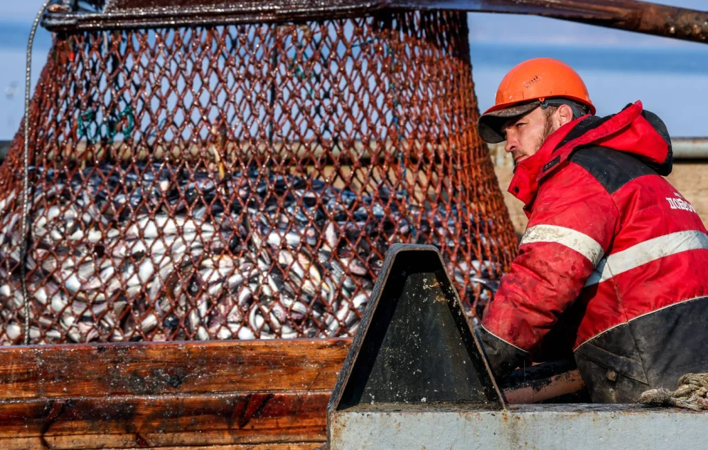 Appel des scientifiques pour interdire pêche et extraction en haute mer