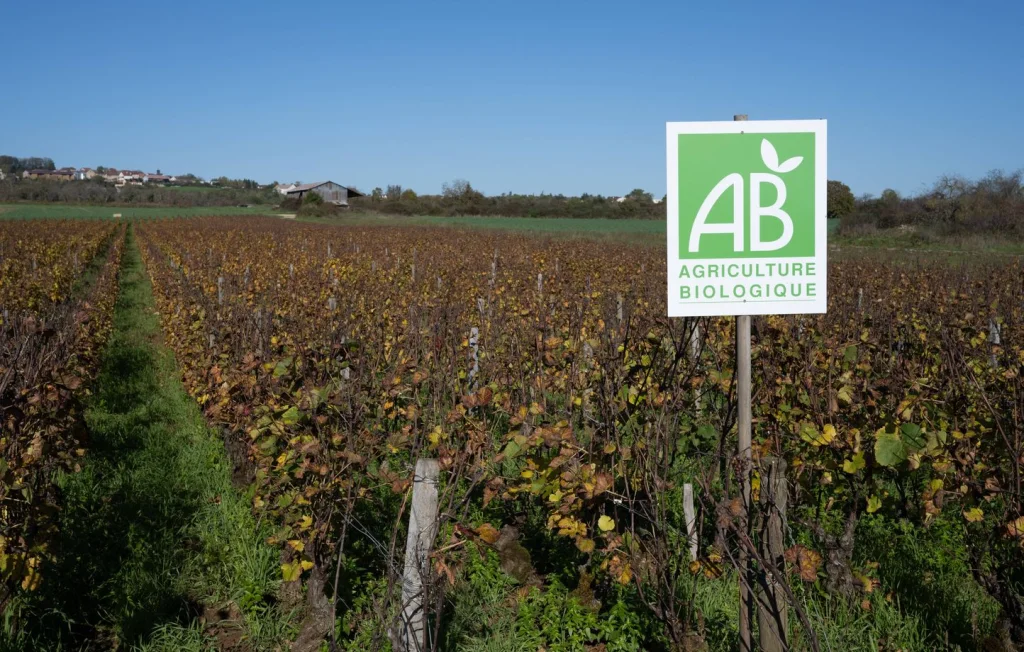 Baisse des surfaces bio en France : Objectif 21% menacé ?