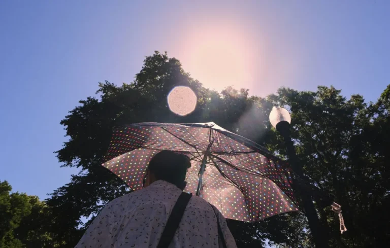 Canicule : Alerte orange dans quatre départements du sud de la France