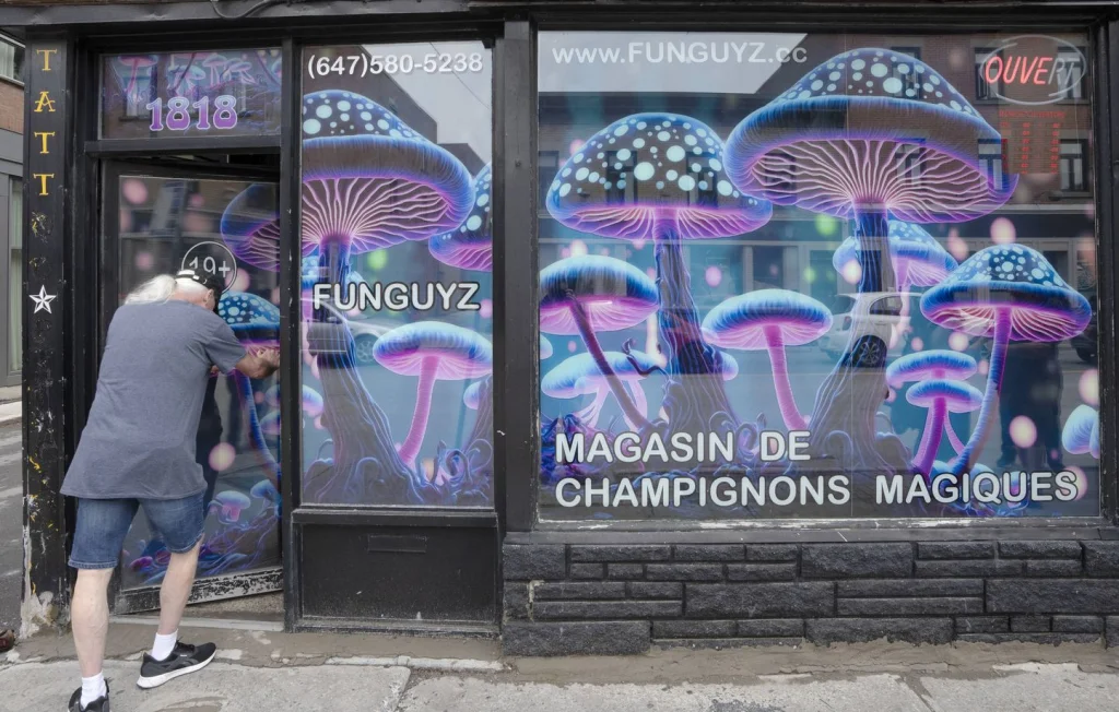 Champignons hallucinogènes : les pays où leur usage est autorisé