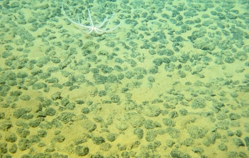 Exploitation des Fonds Marins : Moratoire ou Opportunité ?