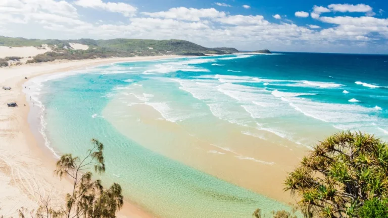 Fraser Island : l&rsquo;une des îles les plus dangereuses d&rsquo;Australie