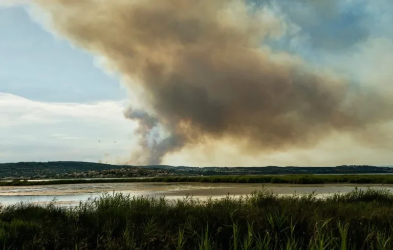 Incendies dans l&rsquo;Aude : 500 pompiers mobilisés, situation critique
