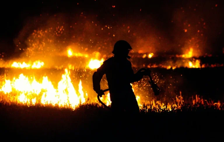 Incendies en France : Quelles prévisions après un printemps chaud ?