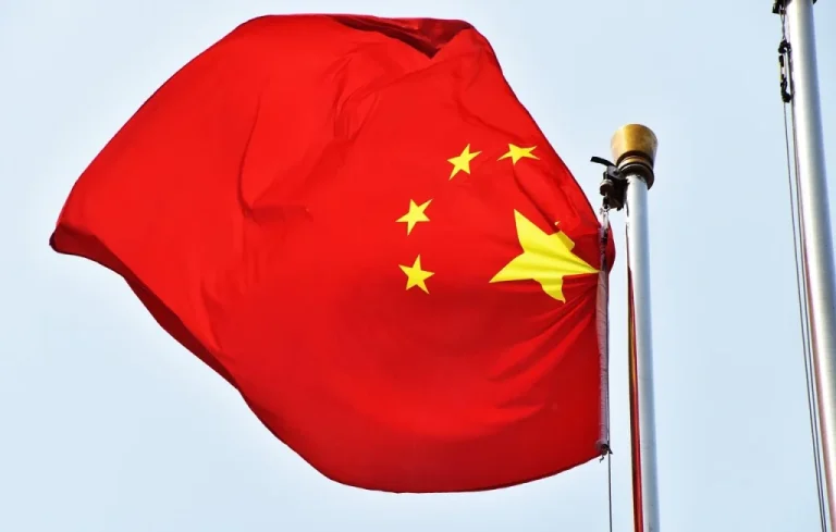La Chine présente un mini-drone espion taille moustique