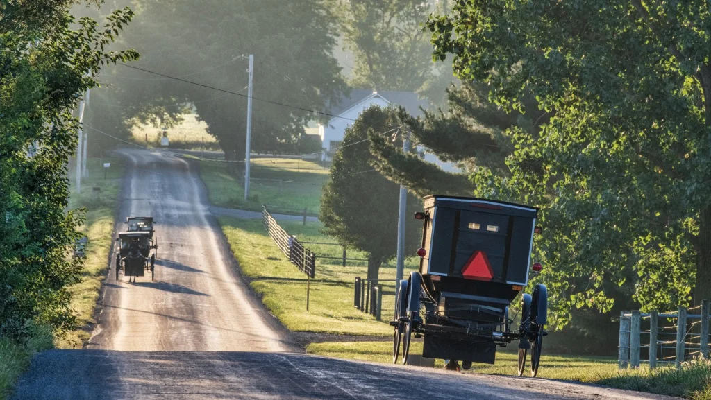 Les Amish et la conduite de voitures : traditions et exceptions
