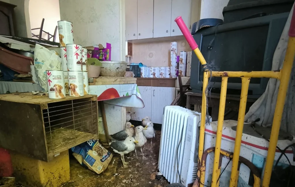Maltraitance animale : Découverte d'une ménagerie insalubre