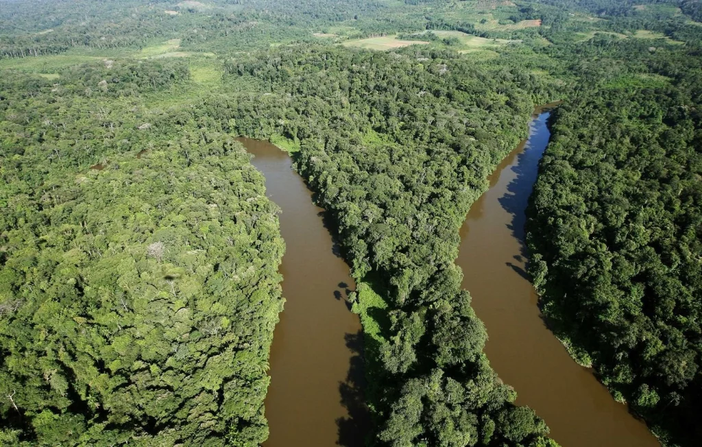 Naufrage en Guyane : bilan tragique de sept morts
