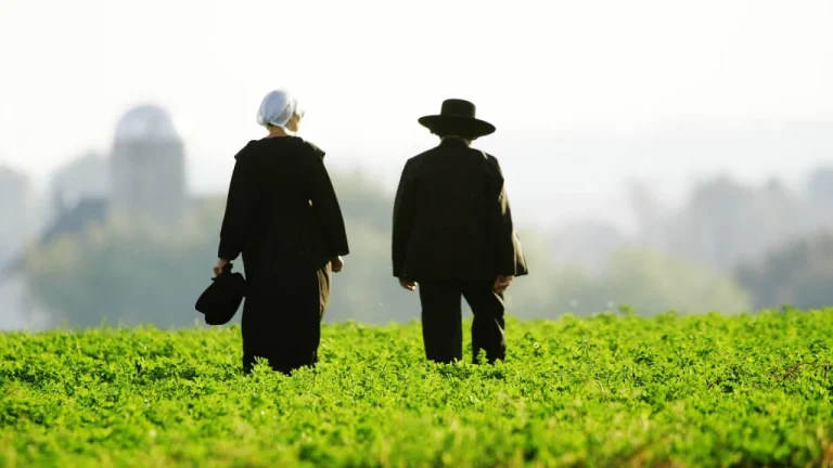 Pourquoi de nombreux Amish n’ont pas de numéro de sécurité sociale