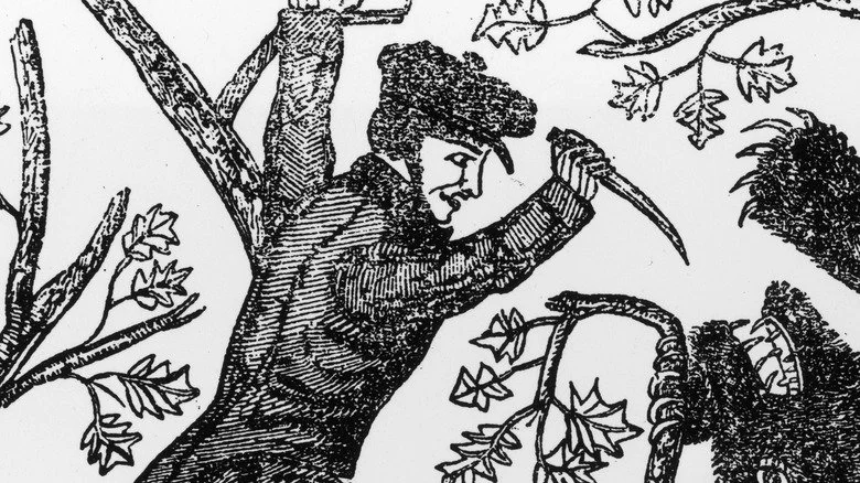 Illustration du XIXe siècle de Davy Crockett enfant avec un couteau