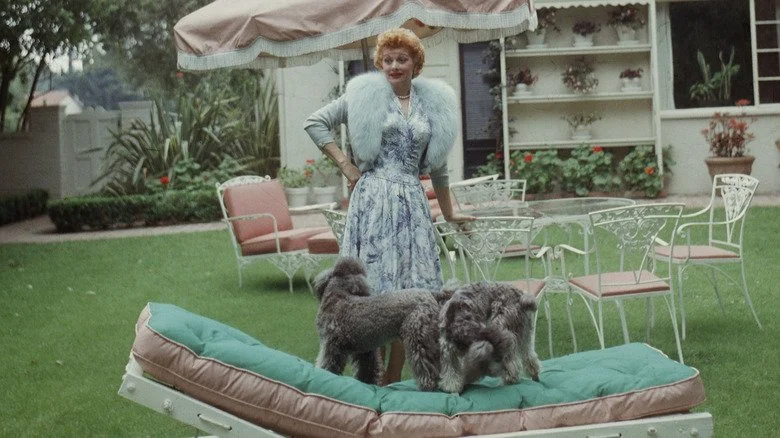 Lucille Ball dehors avec des chiens