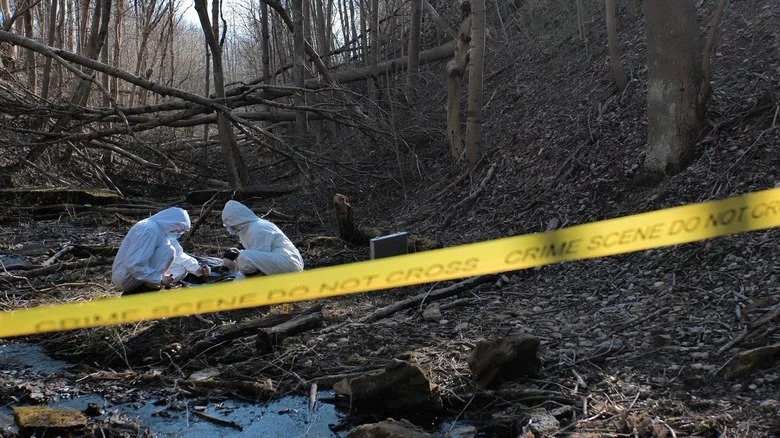 Scène de crime en forêt