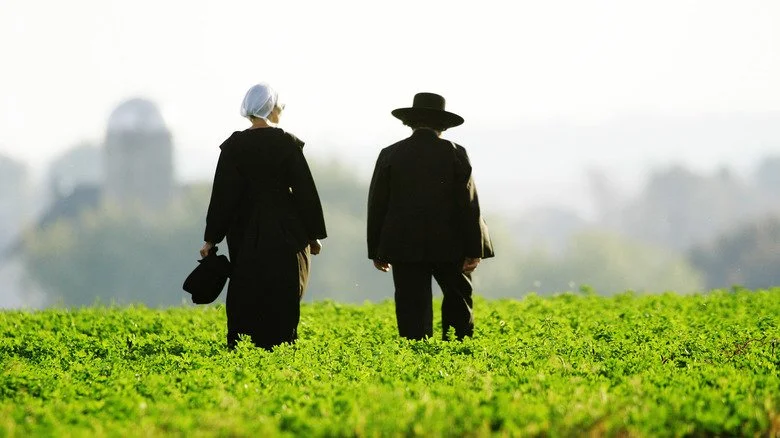 Couple Amish marchant dans un champ