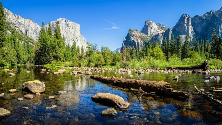 Yosemite National Park