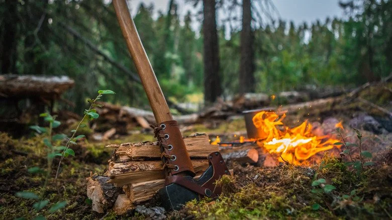Scène autour d'un feu de camp