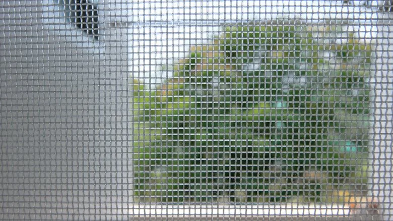 Fenêtre équipée d'une moustiquaire