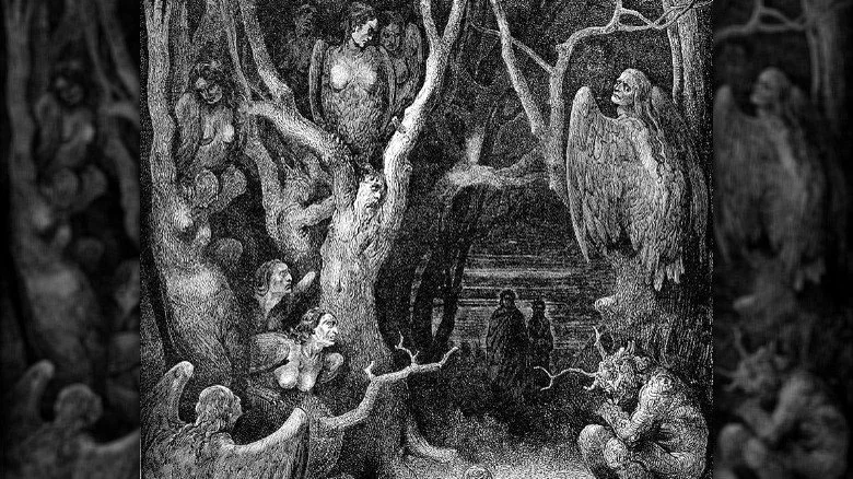 Harpies dans la forêt