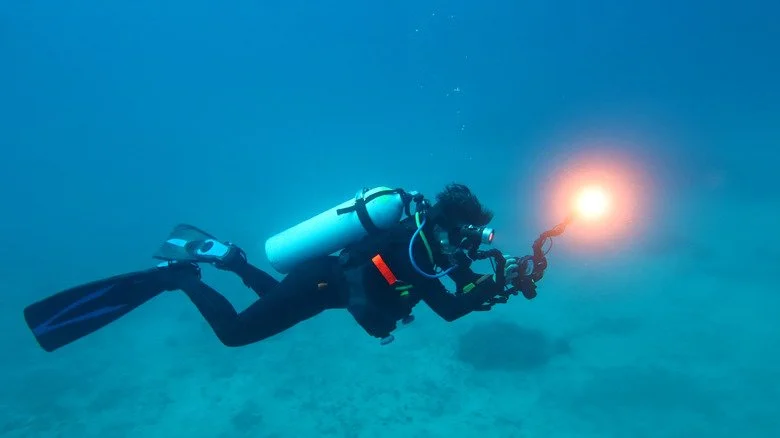 Plongeur explorant les profondeurs marines