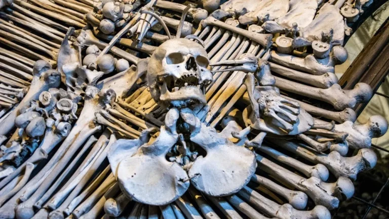 Comment la peste noire a-t-elle finalement pris fin ?