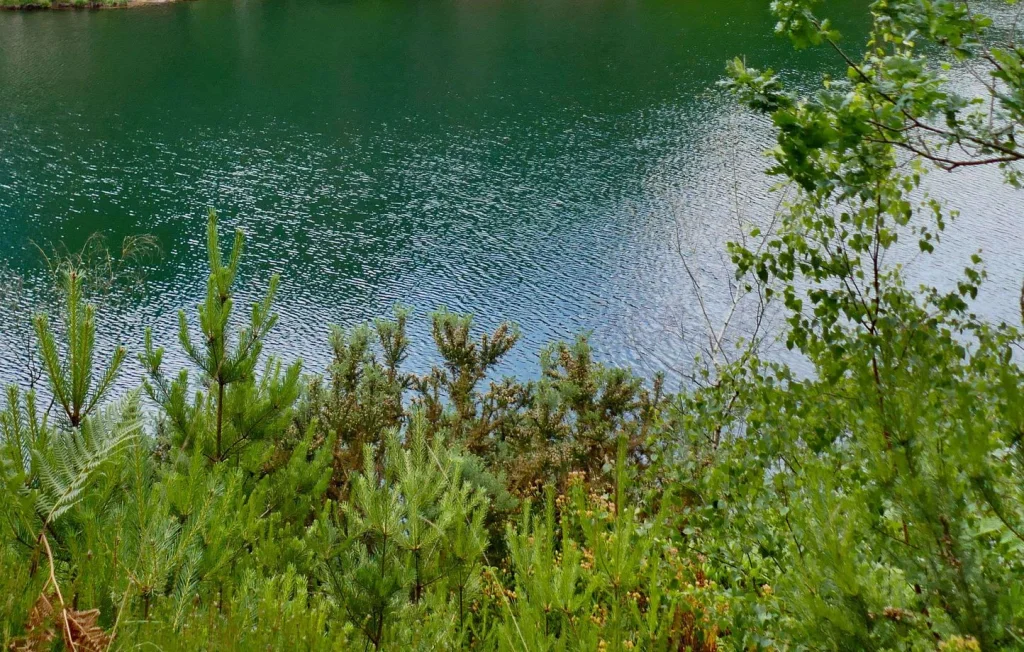 Grenoble : Le lac de la Villeneuve vidé pour analyses d'eau