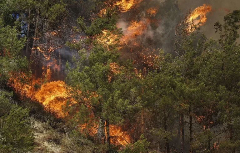 Hérault : Incendie maîtrisé après avoir ravagé 400 hectares