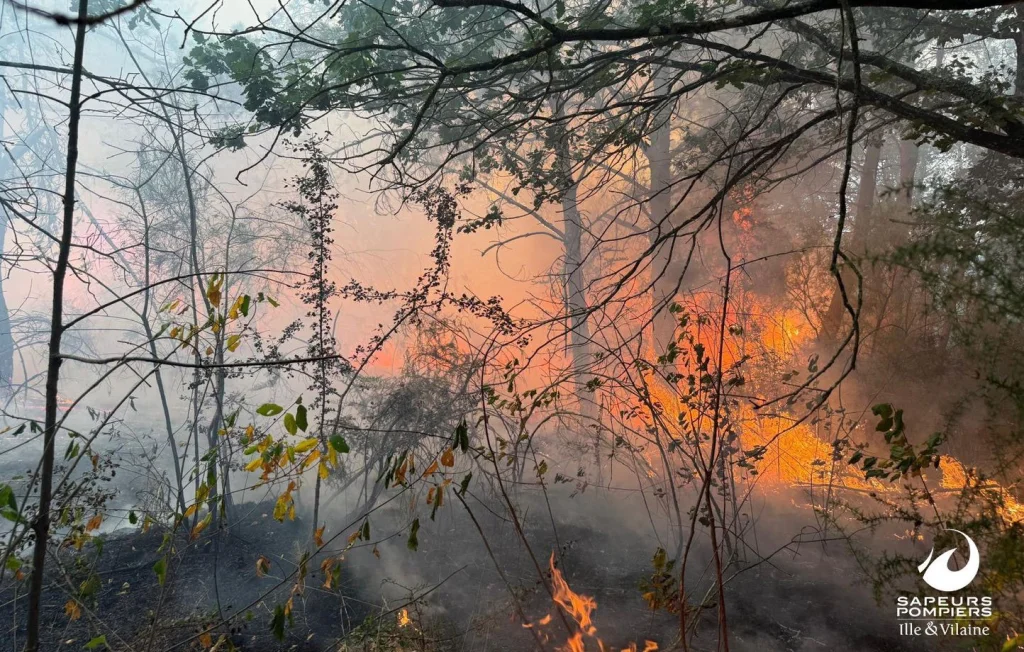 Incendie à Brocéliande : Situation sous contrôle, pluie attendue