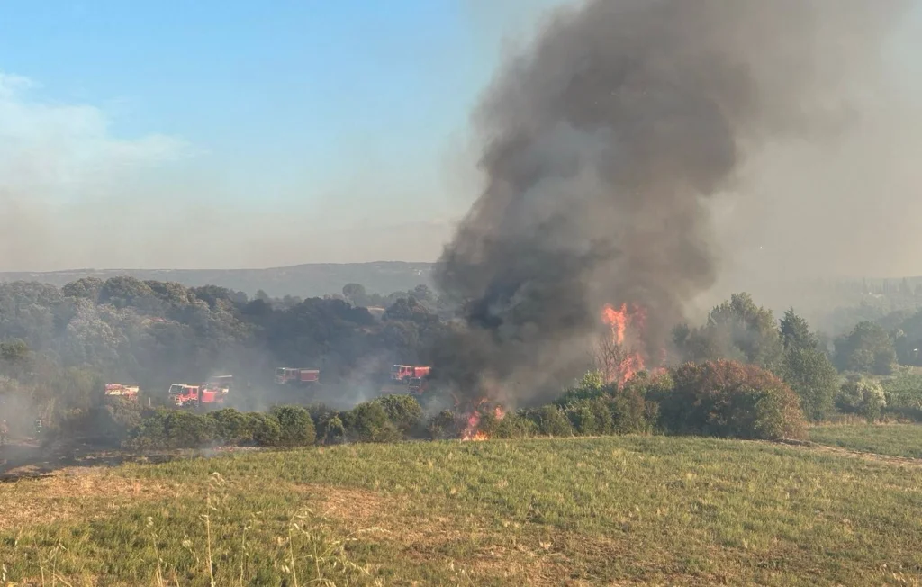 Incendie dévastateur près de Montpellier : 320 hectares brûlés