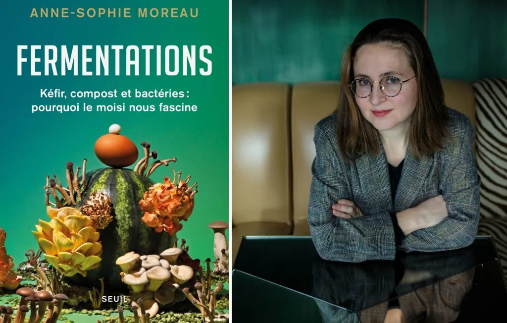 La Fermentation : Quand le Moisi Fascine Nos Sociétés Modernes