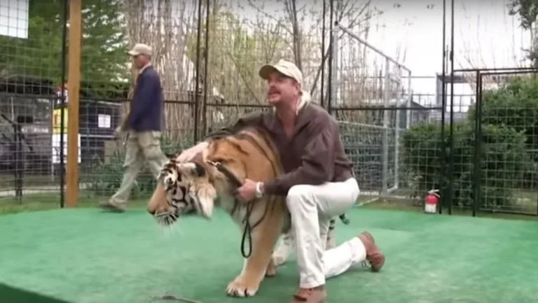 La réalité du zoo G.W. après le phénomène Tiger King
