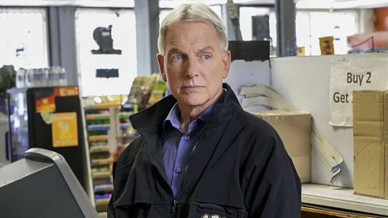 Les Acteurs de NCIS : Où les Voir Autrement