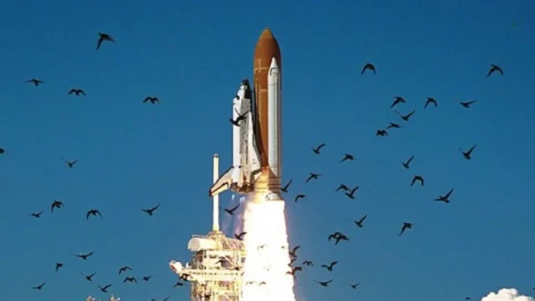 Les Leçons Tragiques de la Catastrophe de Challenger