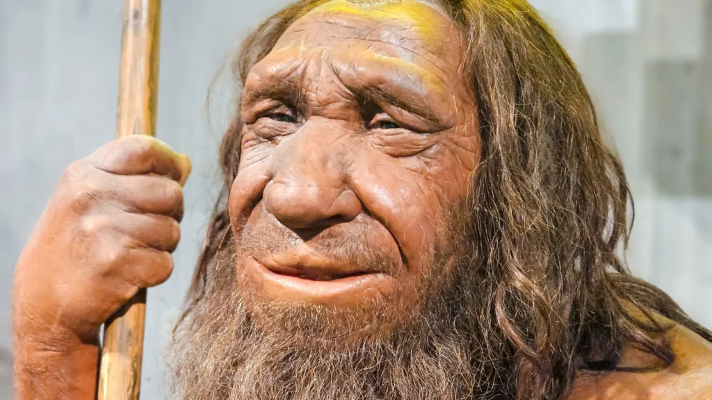 Les Néandertaliens utilisaient-ils des armes sophistiquées ?