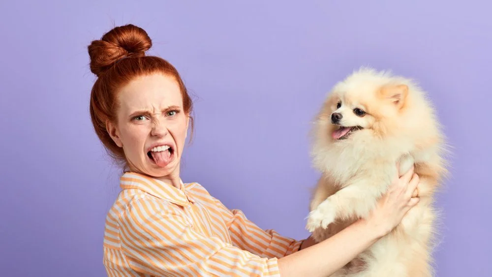 Les races de chiens les plus malodorantes au monde