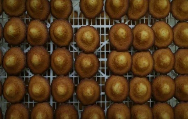 Mont-de-Marsan : Un étudiant positif à l'alcool après des madeleines