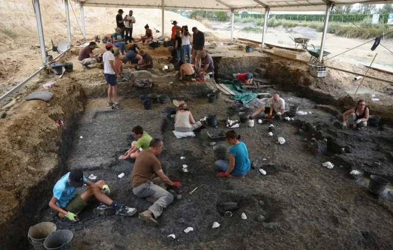 Nouveaux fossiles de camarasaurus découverts en Charente