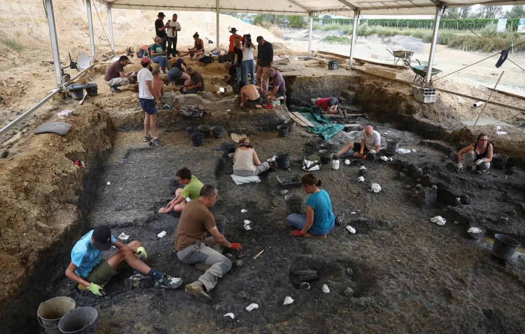Nouveaux fossiles de camarasaurus découverts en Charente